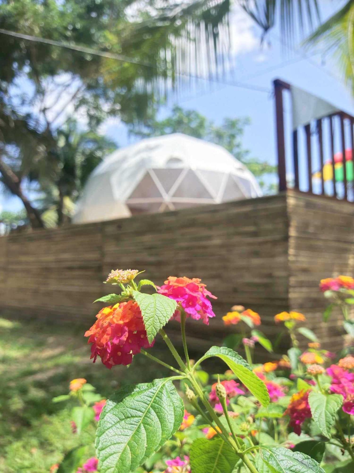 Eco Glamping Treehouses Closest Resort To All Tourist Attractions Balilihan Ngoại thất bức ảnh